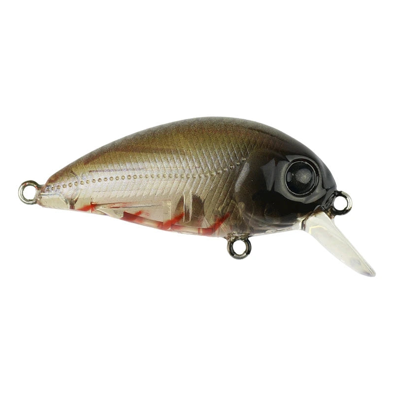 Load image into Gallery viewer, Atomic Hardz Crank 38 Mid Diver-Lure - Hardbody-Atomic-Tristos Eagles-Fishing Station