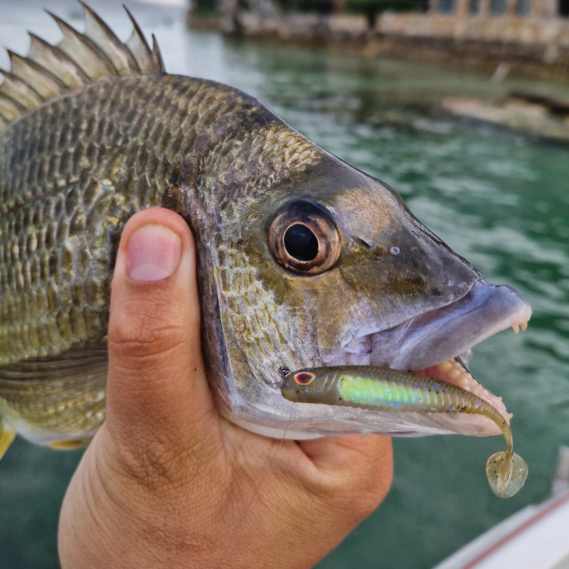 Load image into Gallery viewer, Fishing Station Bream & Whiting Bundle Pack