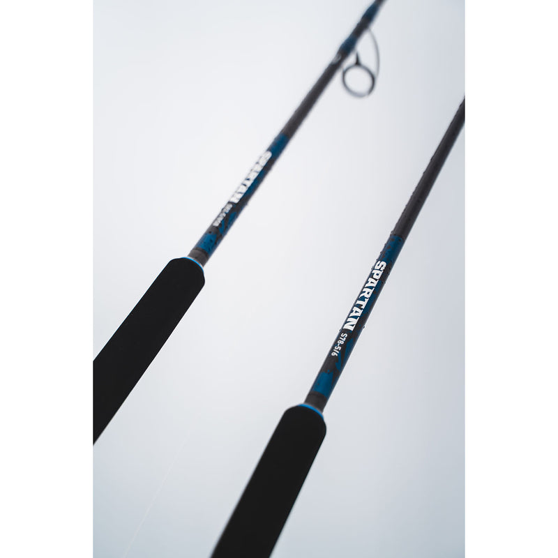 Load image into Gallery viewer, Daiwa 25 Spartan Rod