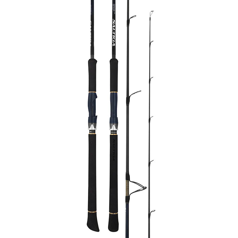 Load image into Gallery viewer, Daiwa 25 Saltiga LC Spin Rod-Rod-Daiwa-S75-3/4-AGS-Fishing Station
