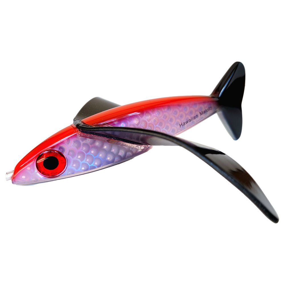 Hawaiian Malolo Bird Teaser-Teasers-Hawaiian Malolo-Firecracker-Fishing Station