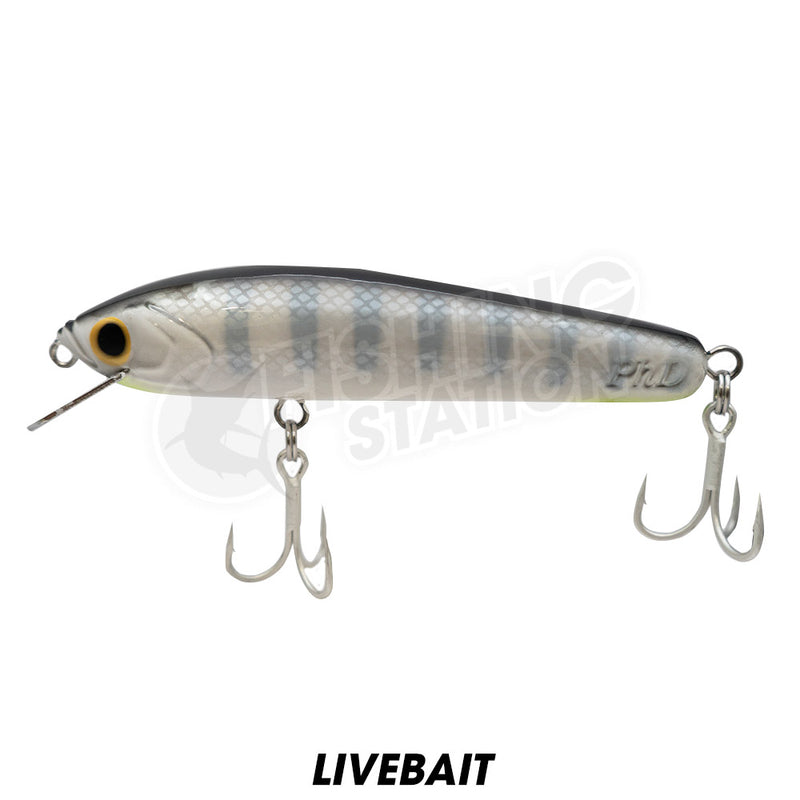 Load image into Gallery viewer, PhD Boof 155 ABS Hardbody Lure