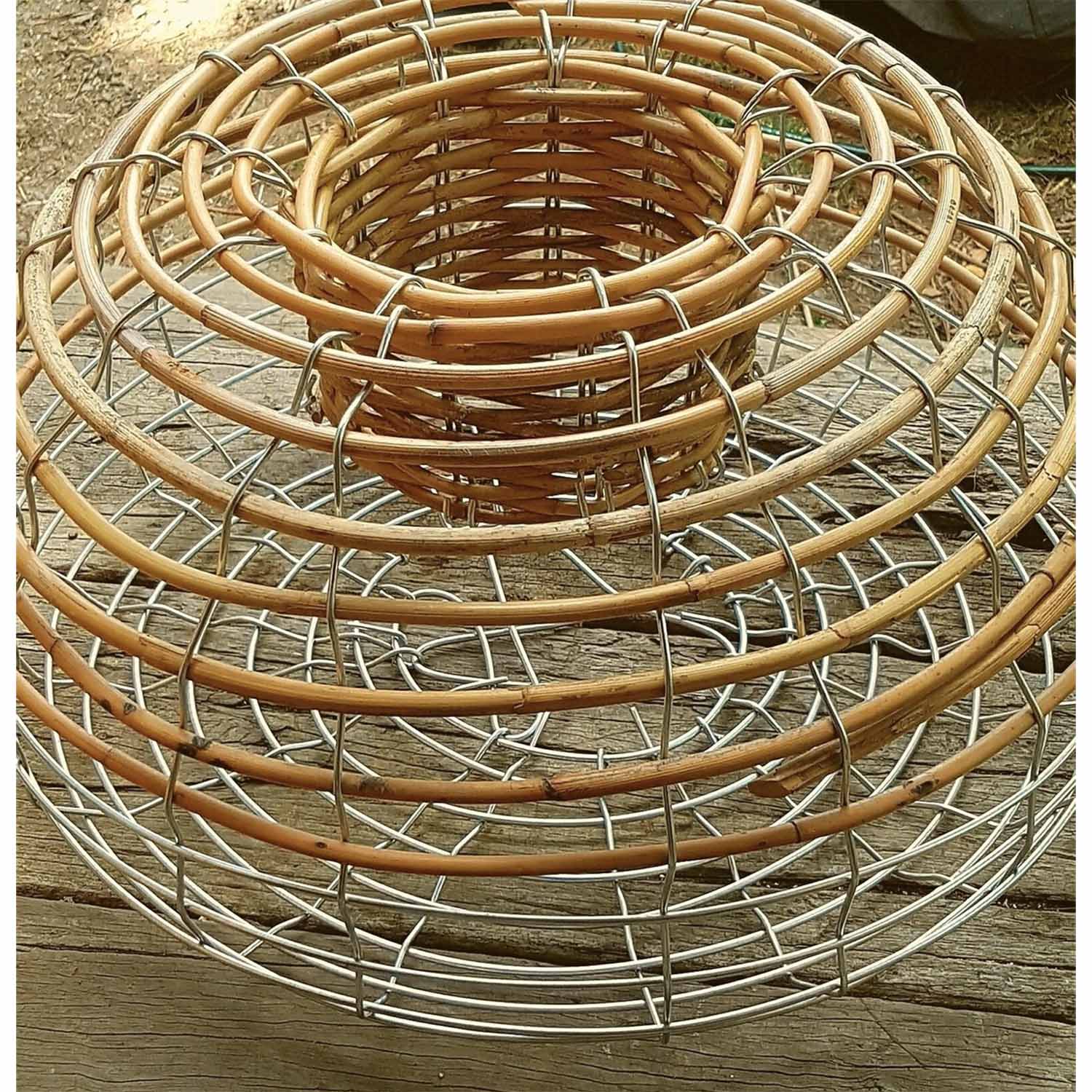 Lobster Pot - Full Cane 25