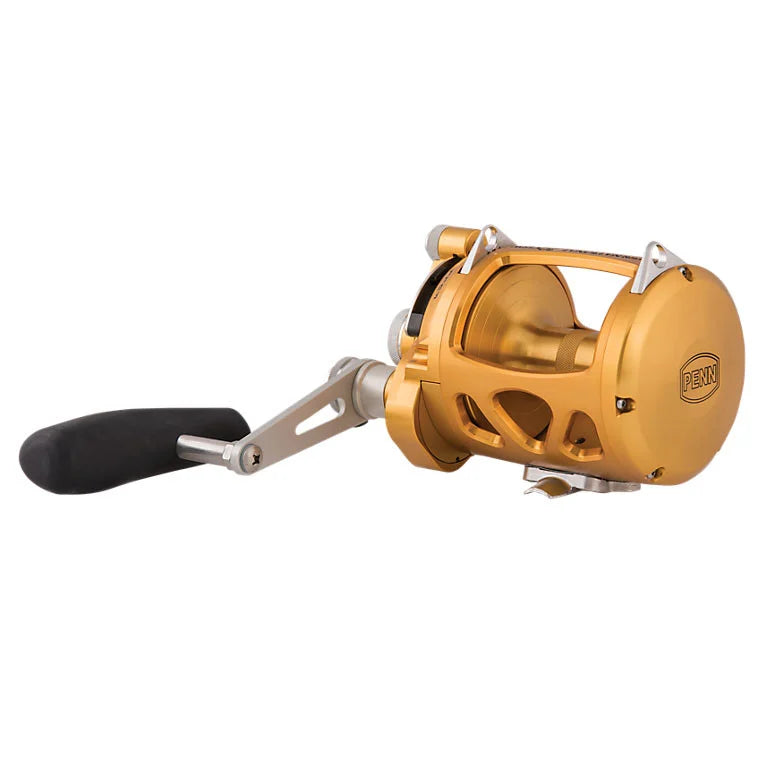 Load image into Gallery viewer, Penn International VISW Overhead Reel-Reels - Overhead-Penn-Gold-30VISW-Fishing Station
