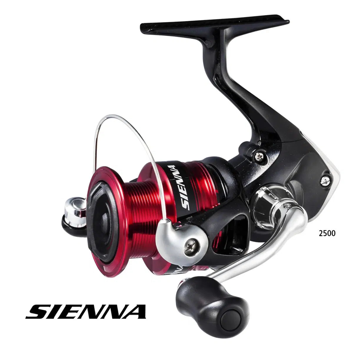 Shimano Sienna FG Spin Reel-Reels - Spin-Shimano-2000FG-Fishing Station