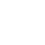 Shimano_0009f4ad-edbf-40eb-9d51-38198d7fc12d