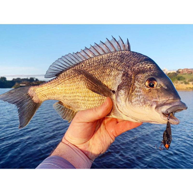 Load image into Gallery viewer, TT Switchblade+ Blade Lure-Lure - Blades & Vibe-Tackle Tactics (TT)-Wagasaki Minnow-37mm (3.5g)-Fishing Station