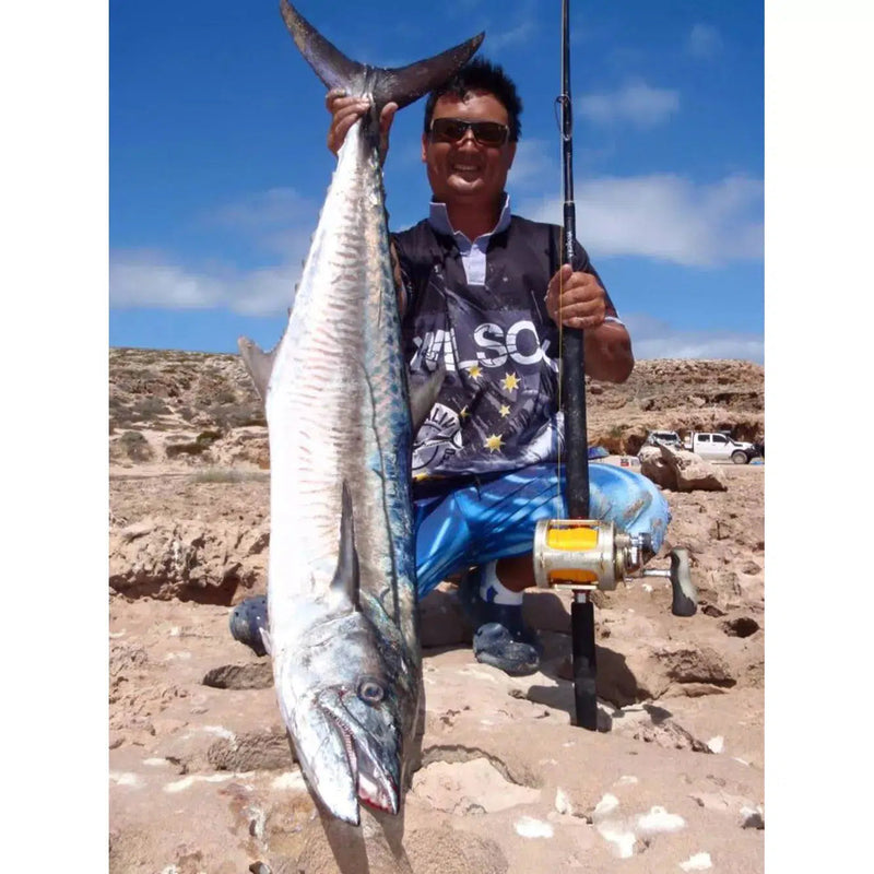 Load image into Gallery viewer, Wilson Venom Land Based Game Rod-Rod-Wilson-RLFVLBG8-Fishing Station