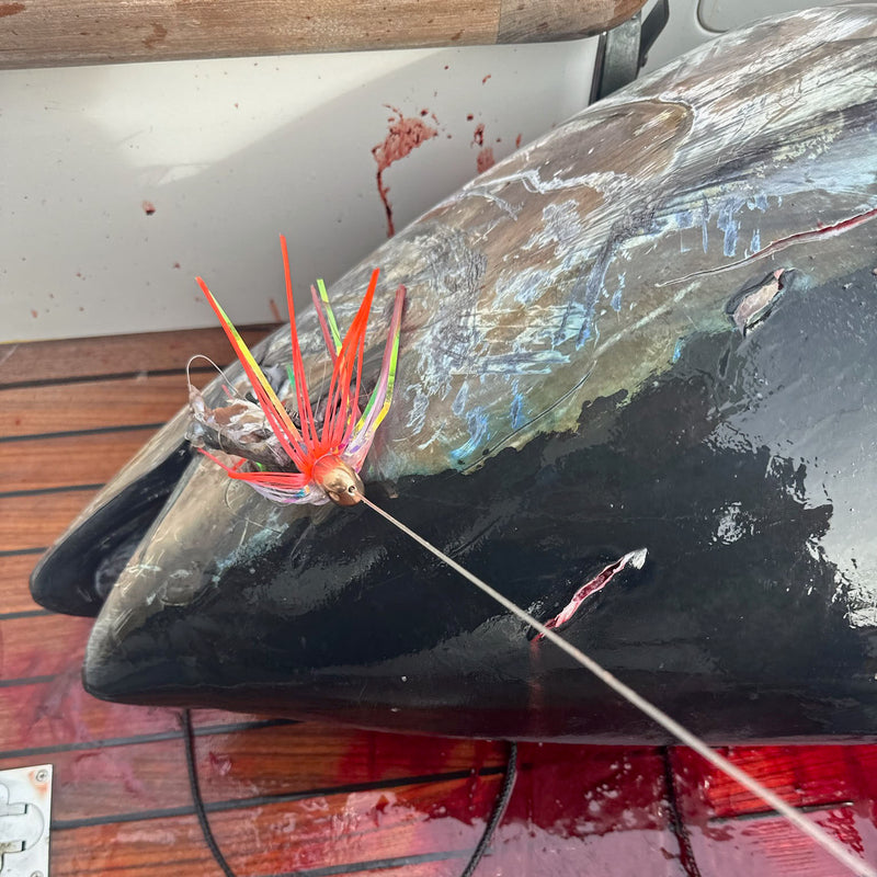 Load image into Gallery viewer, Wolfpack Tackle Tungsten Ahi Head-Teasers-Wolfpack Tackle-2.0oz-Ocean Blue/Crystal Blue-Fishing Station