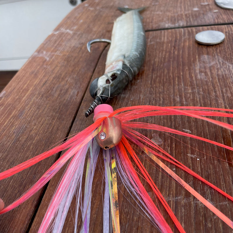 Load image into Gallery viewer, Wolfpack Tackle Tungsten Ahi Head-Teasers-Wolfpack Tackle-2.0oz-Ocean Blue/Crystal Blue-Fishing Station