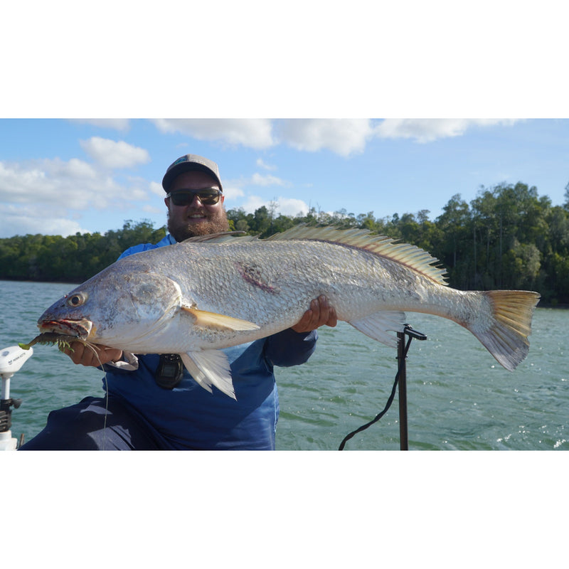 Load image into Gallery viewer, Z-Man PrawnZ Elite Soft Plastic Lure-Lure - Soft Plastic-Z-Man-3.5" (2pk)-Natural Prawn-Fishing Station