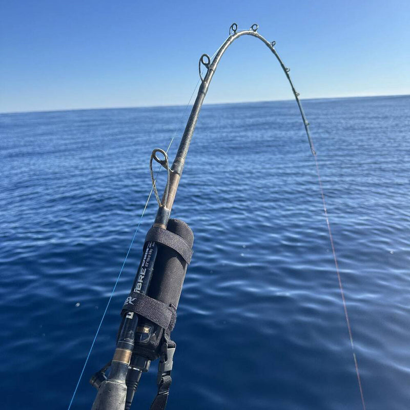 Load image into Gallery viewer, Wilson Live Fibre Electric Assist Rod