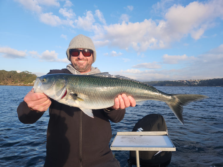 Local Fishing Report August 1