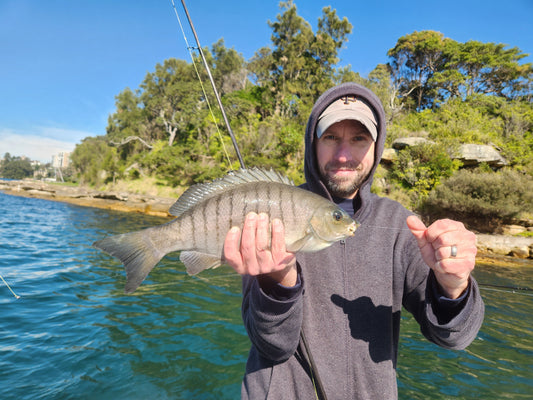 Local Fishing Report - 29 August