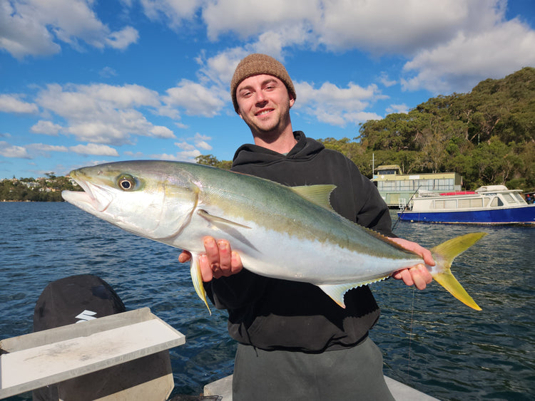 Fishing Report - 26 June