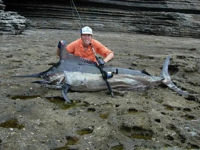 Marlin Off The Rocks