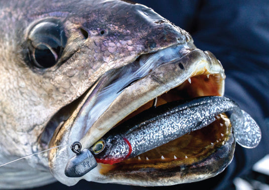 Jighead Sizes Explained: How to Choose the Right Weight and Hook