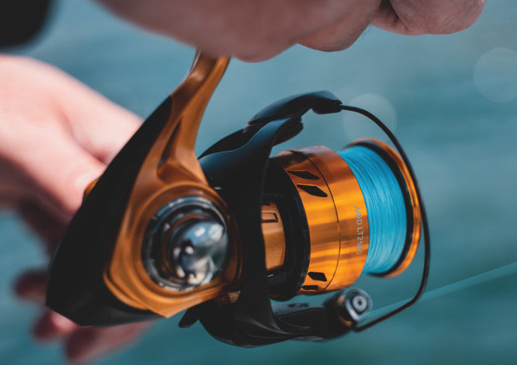 Best spinning reels under $100