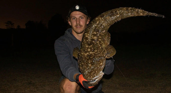 How to - Find big flathead in the shallows