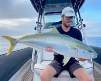 Spring Kingfish in and around Sydney