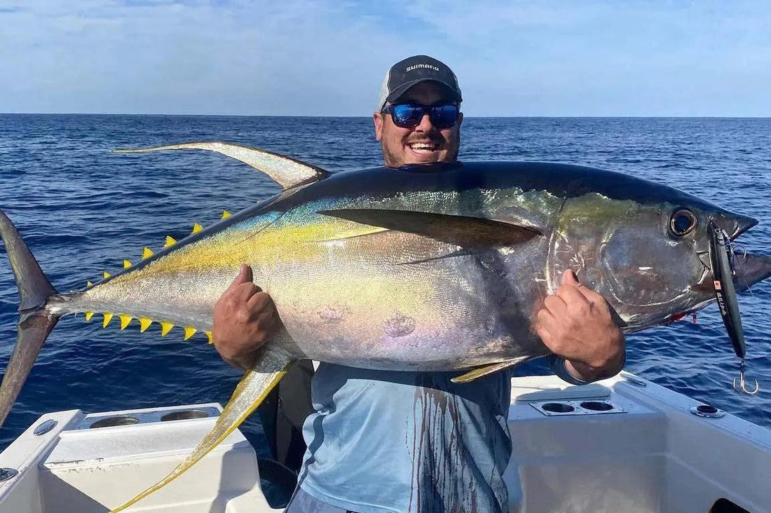 Yellowfin Tuna Action – Winter 2020