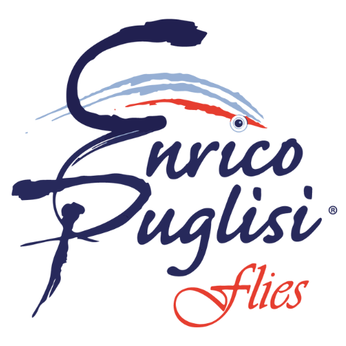 Enrico Puglisi
