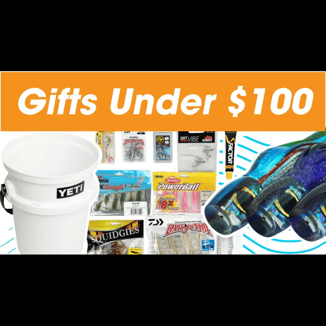 Gift Guide - Gifts Under $100
