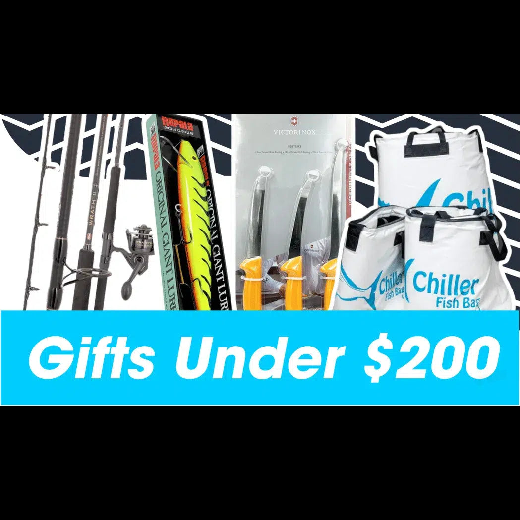 Gift Guide - Gifts Under $200