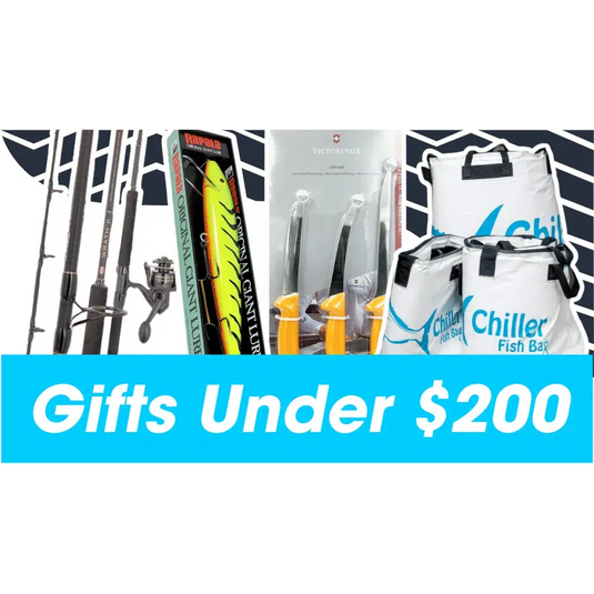 Gift Guide - Gifts Under $200
