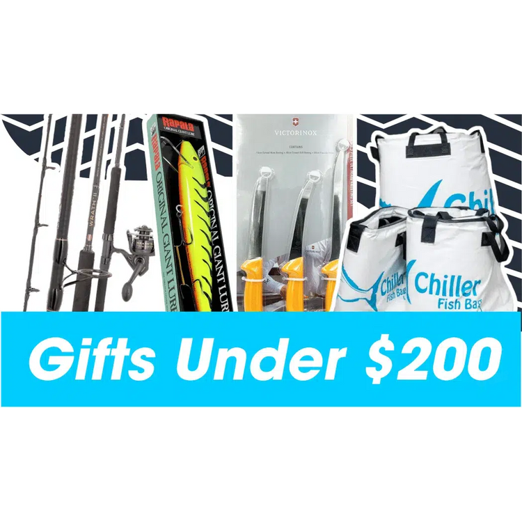 Gift Guide - Gifts Under $200