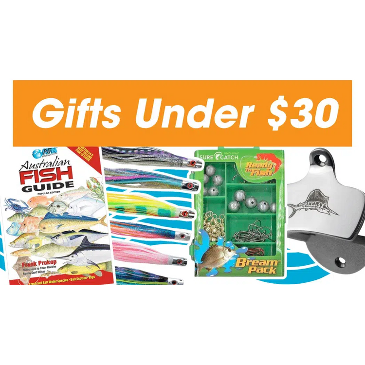 Gift Guide - Gifts Under $30