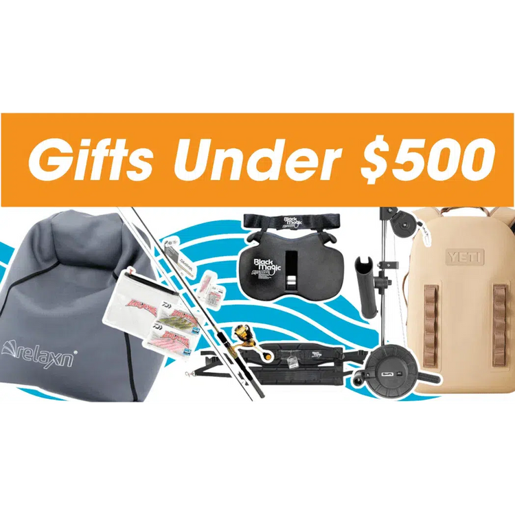 Gift Guide - Gifts Under $500