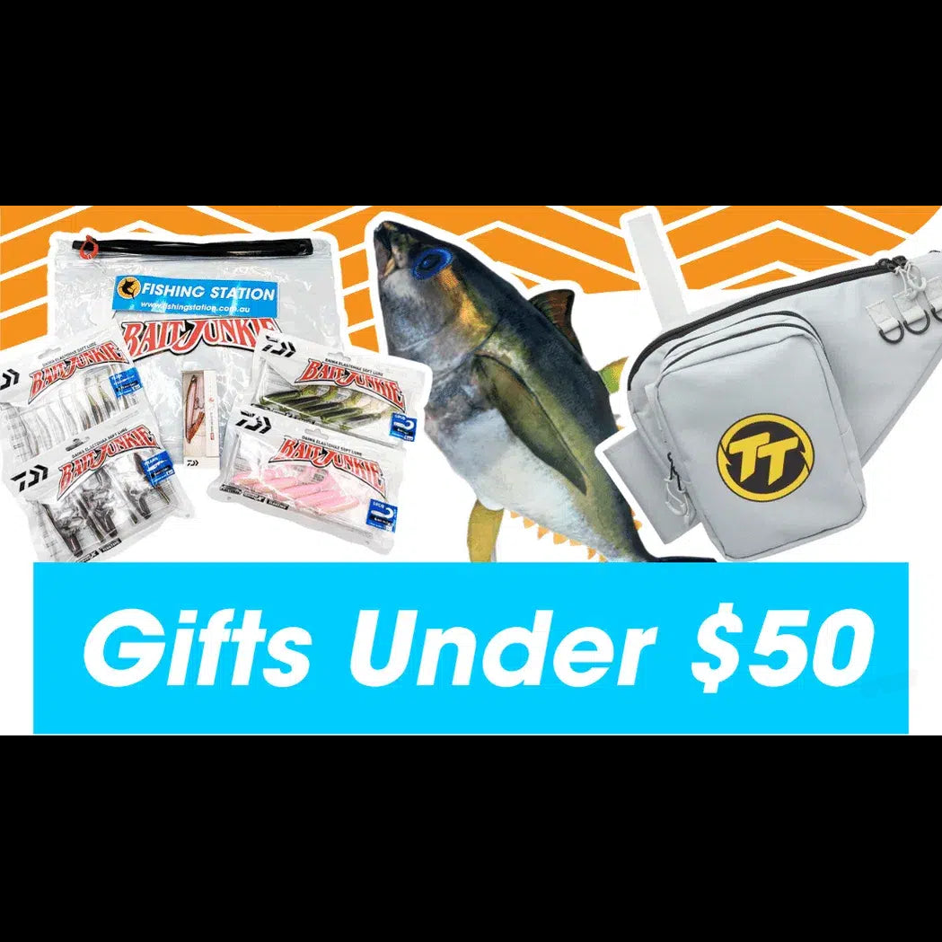 Gift Guide - Gifts Under $50