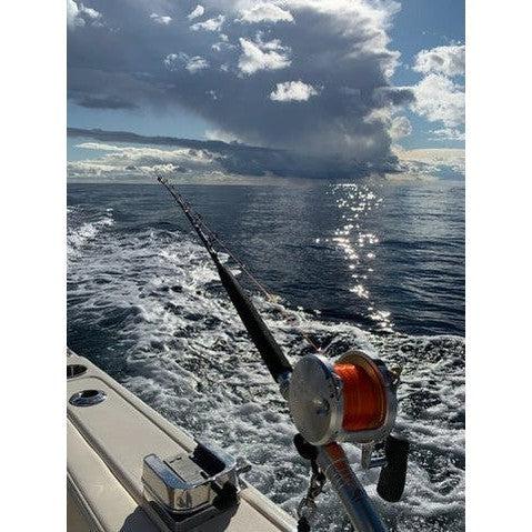 Rods & Reels
