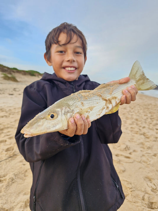Surf Whiting