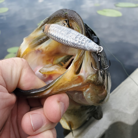 Yo-zuri 3DR-X 75mm Floating Pencil