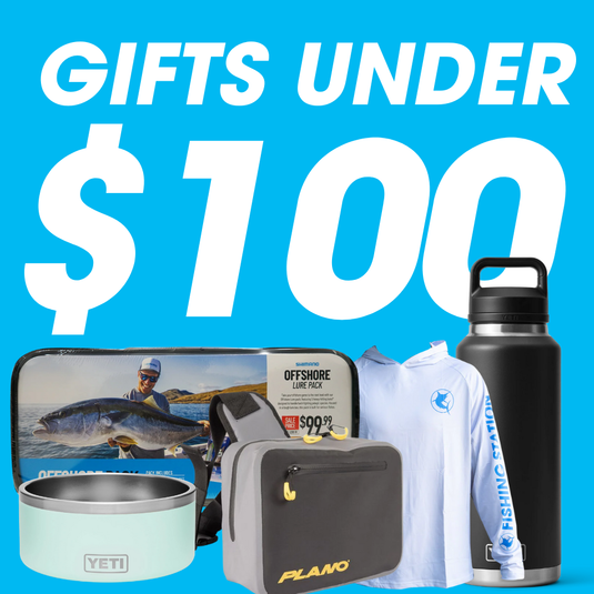Gift Guide - Gifts Under $100