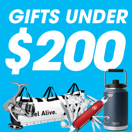 Gift Guide - Gifts Under $200