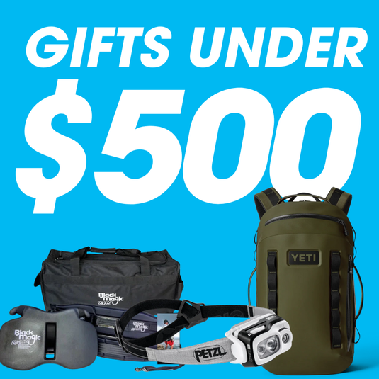 Gift Guide - Gifts Under $500