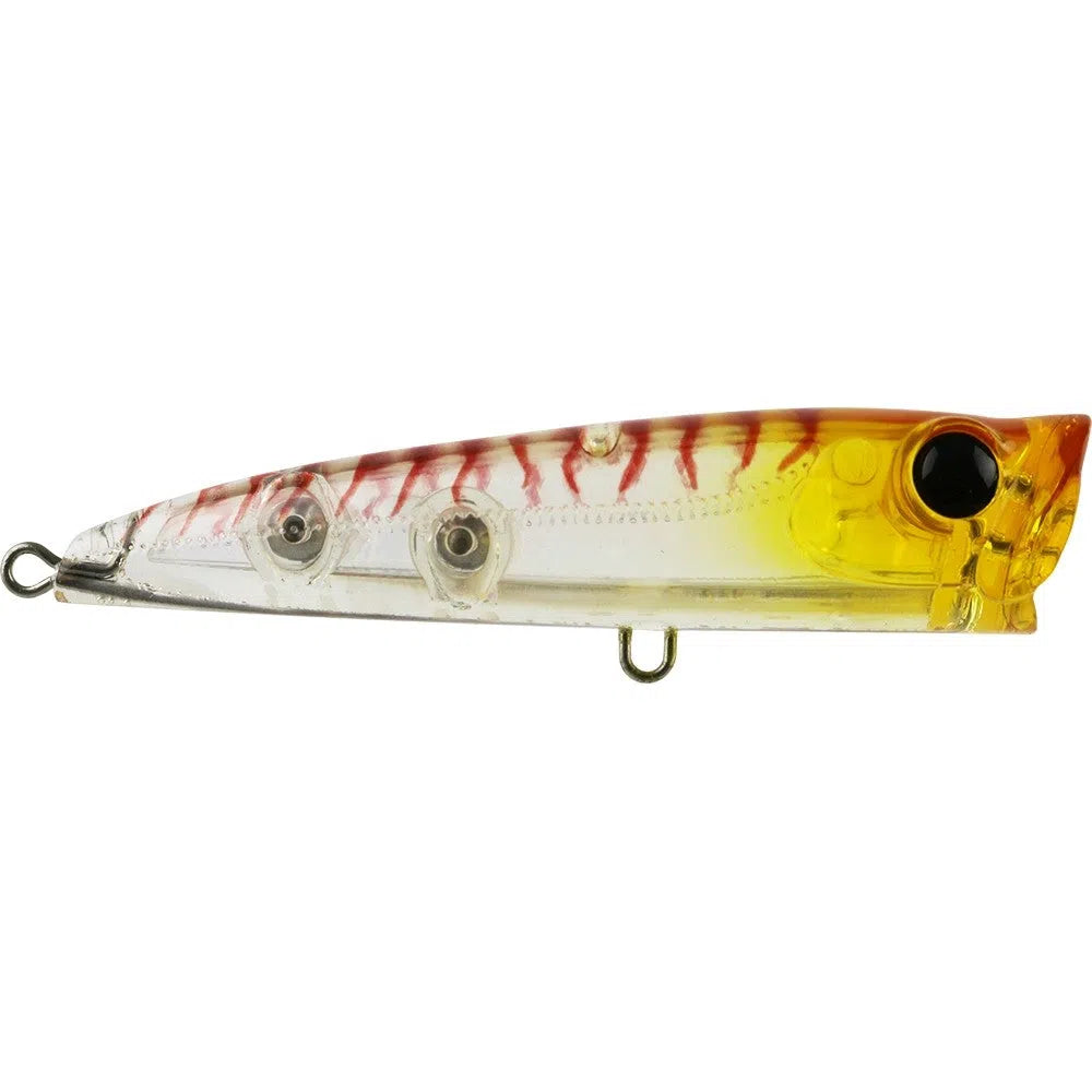Bassday Backfire 65mm Popper Fishing Lure-Lure - Small Surface-Bassday-MB-16-Fishing Station