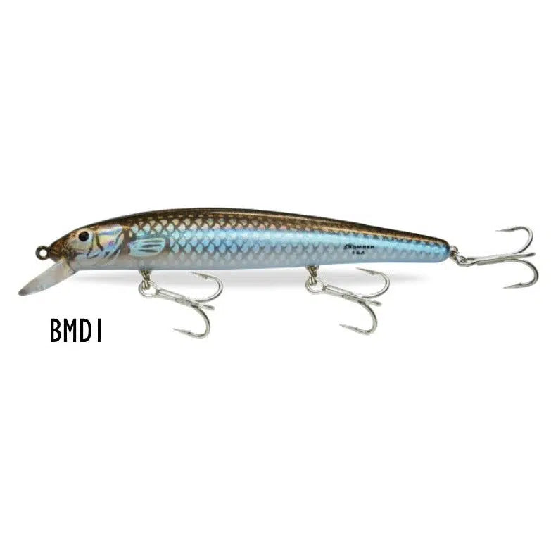 Load image into Gallery viewer, Bomber Long A Hard Body Lure-Lure - Hardbody-Bomber-16A-BMDI-Fishing Station
