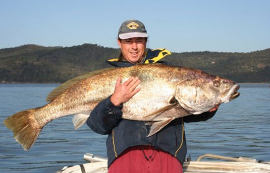 Craig McGill
