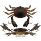 Cranka Crab Treble Hook Model Light 3.9g 50mm Lures-Lure - Hardbody-Cranka-Brown-Fishing Station
