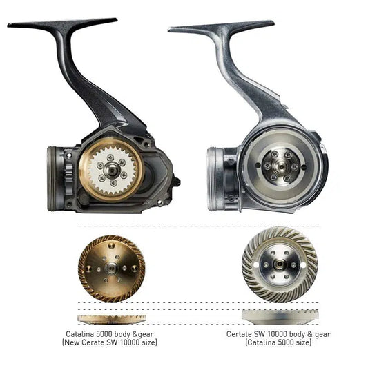 Daiwa 21 Certate SW Spin Reel-Reels - Spin-Daiwa-14000XH-Fishing Station