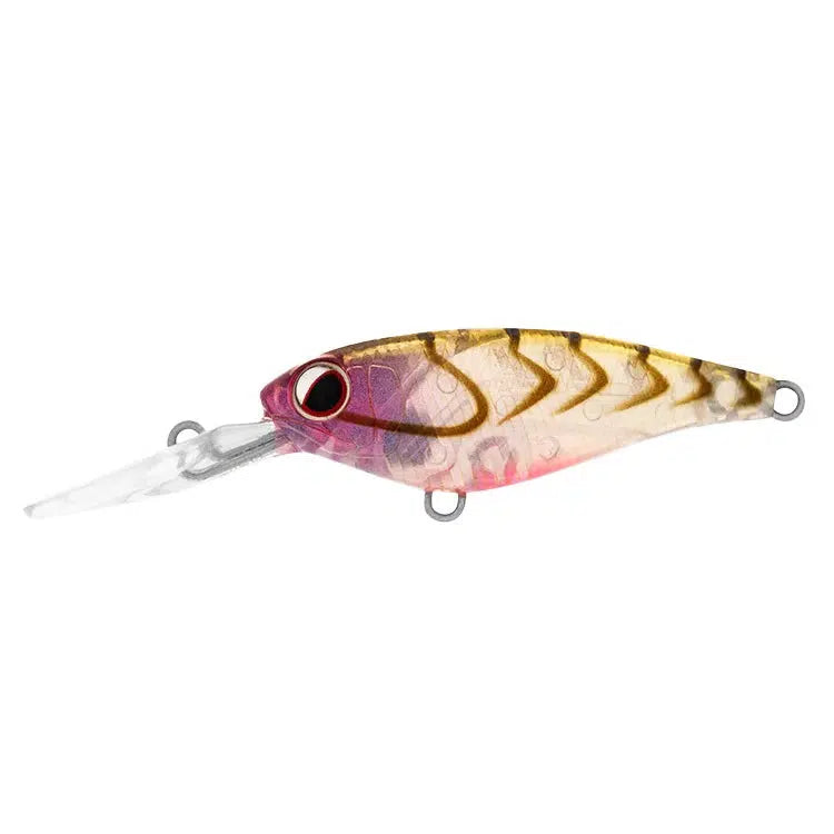 Daiwa Infeet Kodachi Hardbody Lure-Lure - Hardbody-Daiwa-Rose Suji-Fishing Station