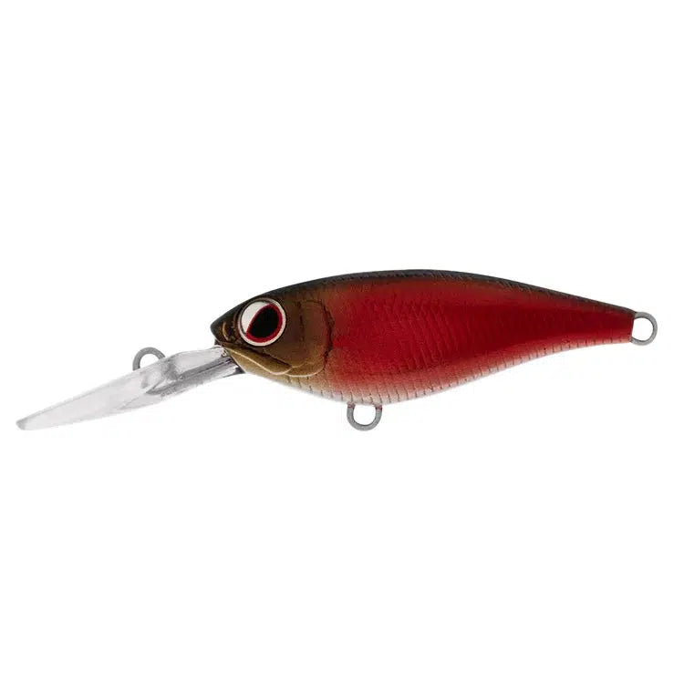 Daiwa Infeet Kodachi Hardbody Lure-Lure - Hardbody-Daiwa-Sheer Red-Fishing Station