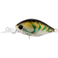 Daiwa Infeet Rolling Crank MR Hardbody Lure-Lure - Hardbody-Daiwa-Blue Suji-Fishing Station