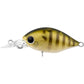 Daiwa Infeet Rolling Crank MR Hardbody Lure-Lure - Hardbody-Daiwa-Sunny Gill-Fishing Station