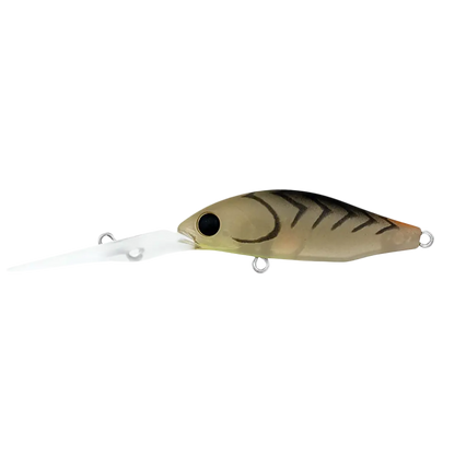Daiwa Infeet Spike 44 EXDR-Lure - Hardbody-Daiwa-Matte Prawn-Fishing Station