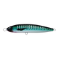 Daiwa Saltiga Rough Ride Stickbait Lure-Lure - Poppers, Stickbaits & Pencils-Daiwa-Saury-160F-Fishing Station